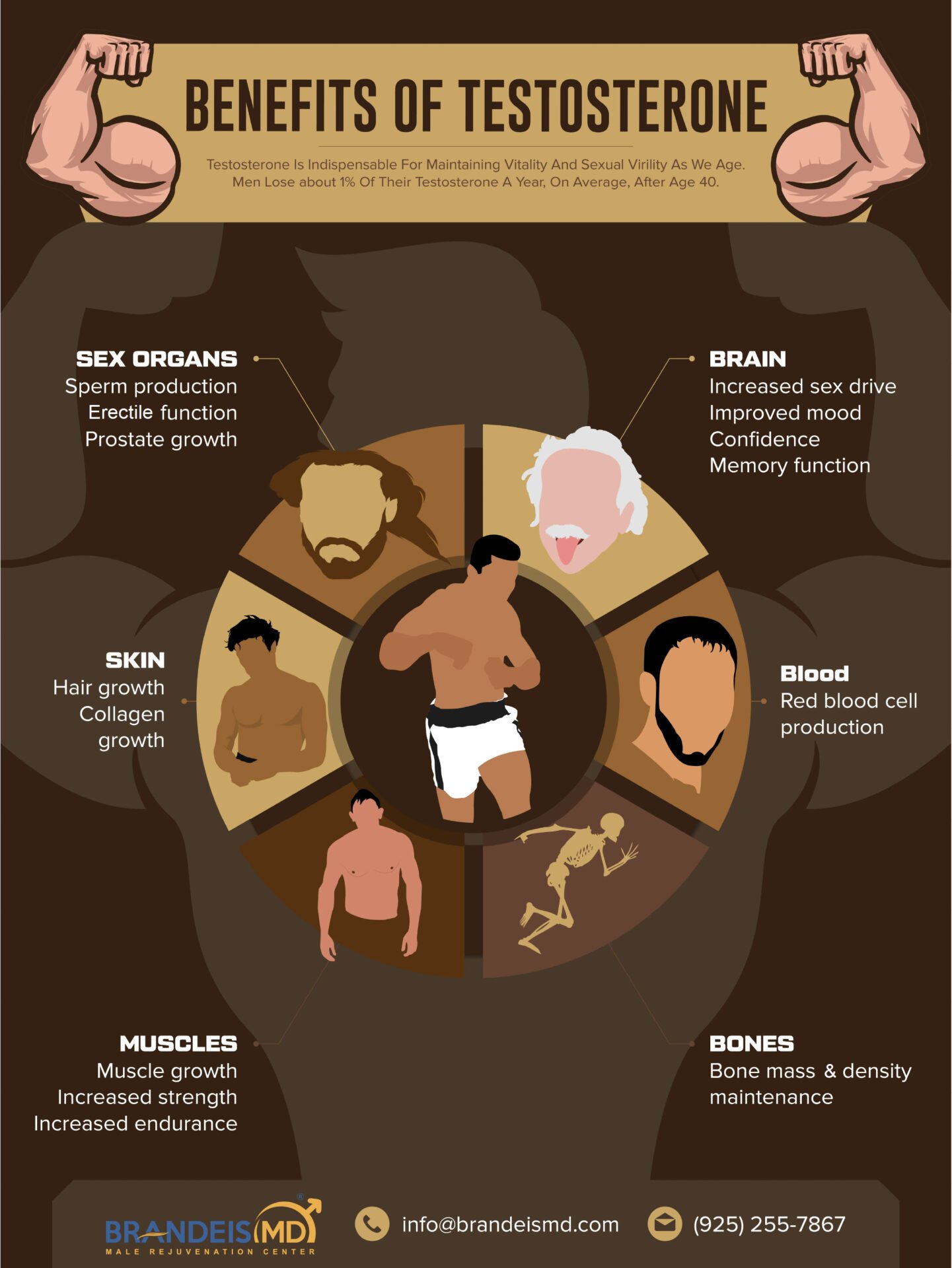 Benefits Of Testosterone - DO NOT CHANGE THIS GRAPHIC - INCLUDED ONLY FOR ORGANIZATION PURPOSES